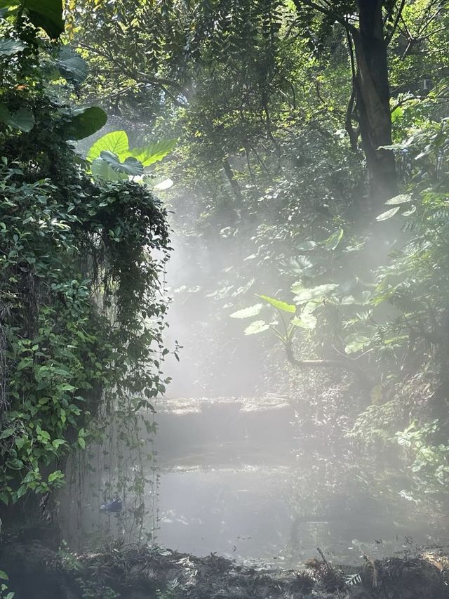 廈門4日遊，放慢腳步喺後花園度吹吓海風