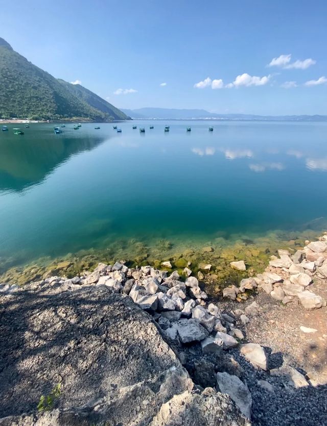 從朝陽出發，撫仙湖藏著怎樣的美境
