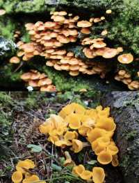 喺雨崩除咗行山，仲有咩隱藏玩法？