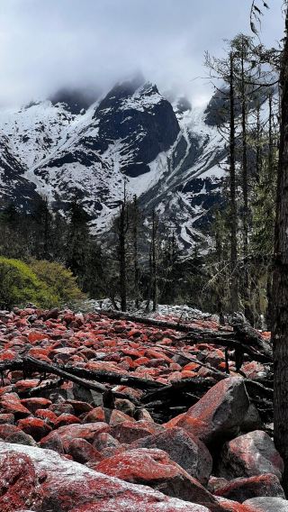8 Hours from Chengdu! Step into the Wild Aesthetic World of Lixiao Road