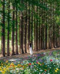 益山秘境｜黃登庭院的花季治癒時刻