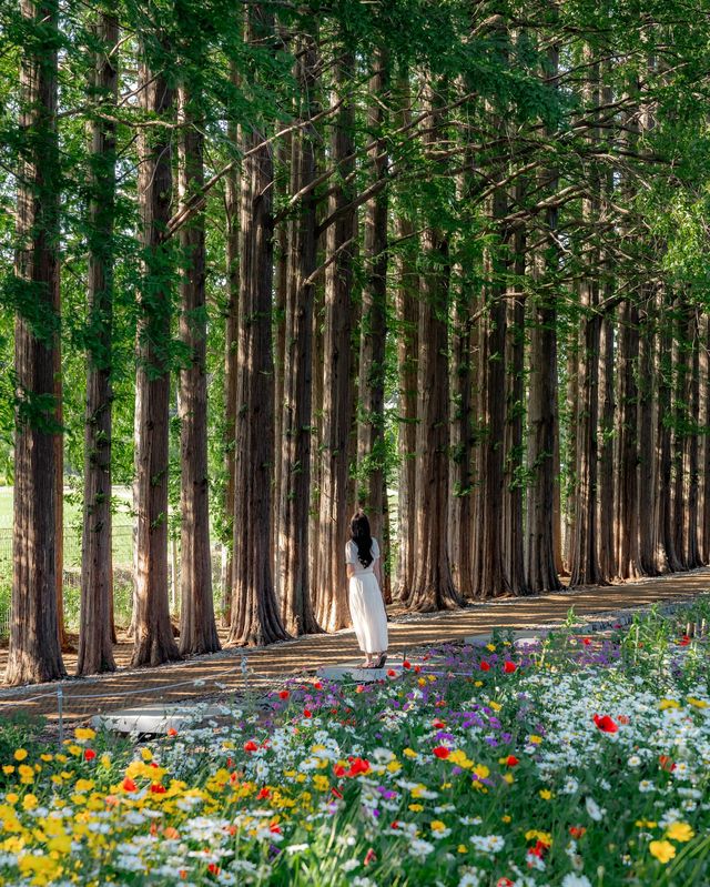 益山秘境｜黃登庭院的花季治癒時刻