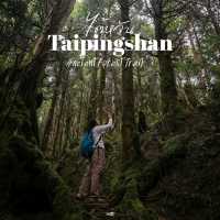 เดินเล่นป่าโบราณไต้หวัน Taipingshan