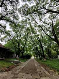 🌸 《夢回紅樓・上海大觀園》