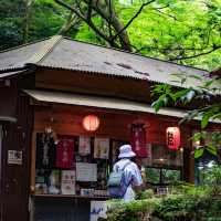 大阪隱藏版寶藏地✨箕面公園：瀑布、古寺與森林的完美邂逅