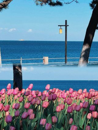 You must visit Weihai at least once! Embark on a romantic rendezvous with the sea