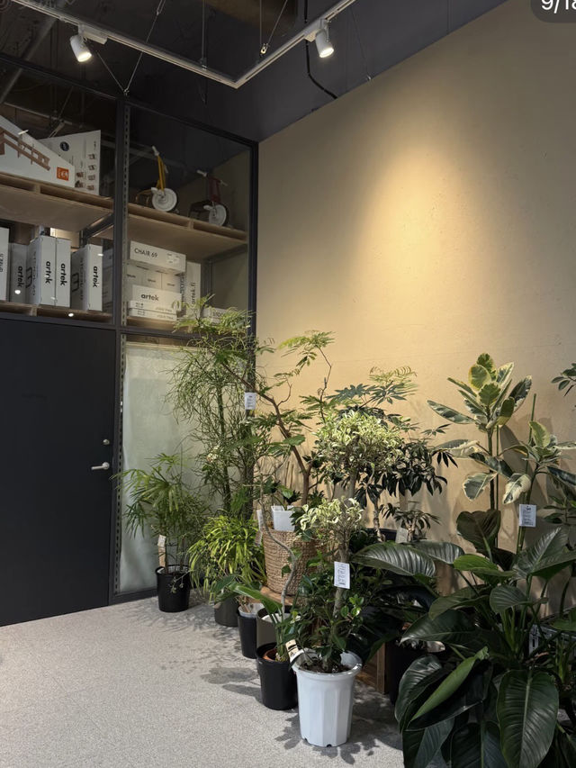 設計控的天堂聯名｜MUJI• USM• ARTEK東京店