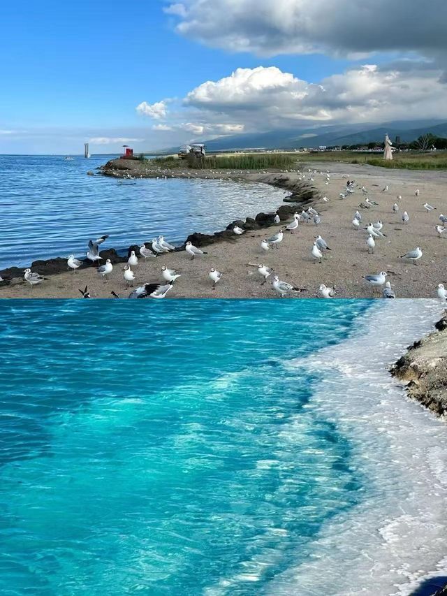 6-8月青海湖！避暑旅行之選