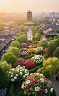 花開時節動京城|洛陽牡丹花