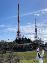 大阪5天4夜深度游攻略：美食×樂園×文化全制霸