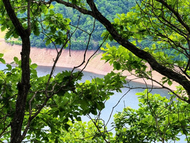 向山野，同昆蟲、樹葉同蘑菇見面