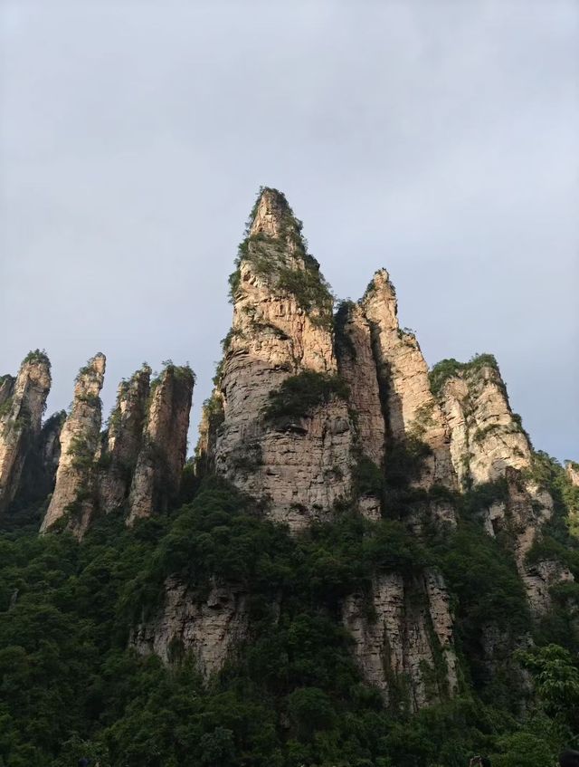 第一次暑假帶小朋友去張家界點玩好？