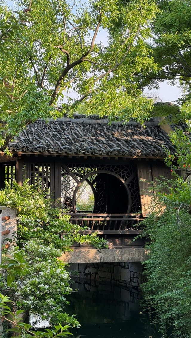 鹽官潮牆堪比小型瀑布