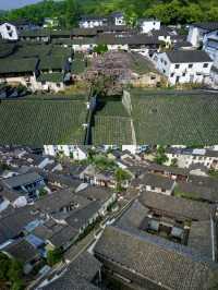 嚟紹興，跟住魯迅足跡避暑，親子遊新玩法