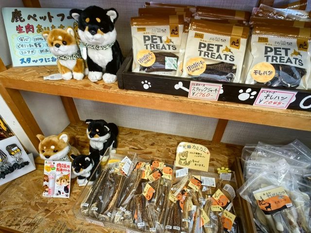 未到盛開時的四季彩の丘