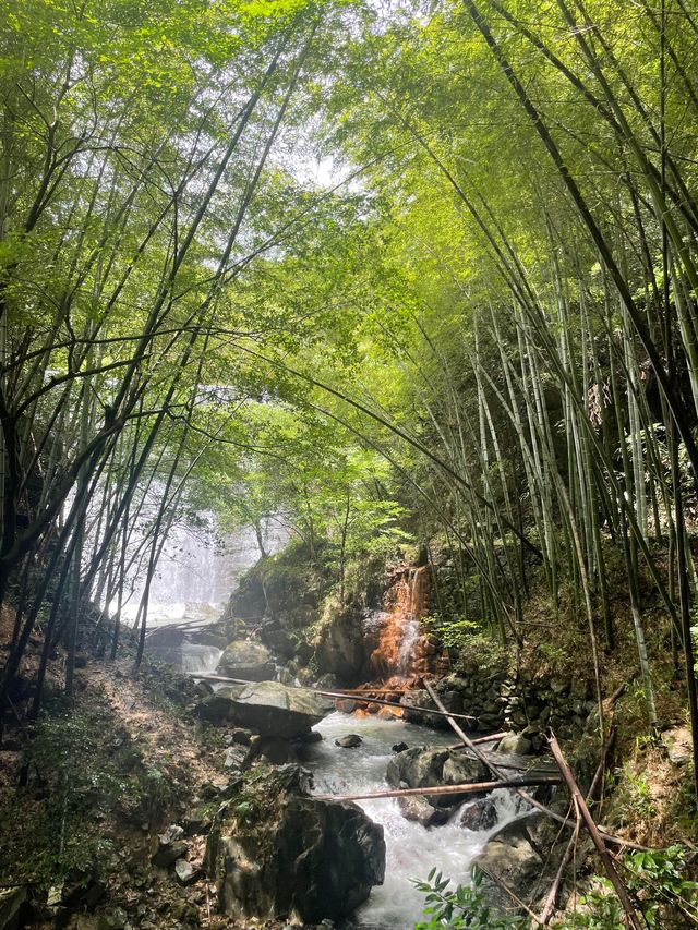 親子玩水秘境！上王崗溯溪免繞路攻略