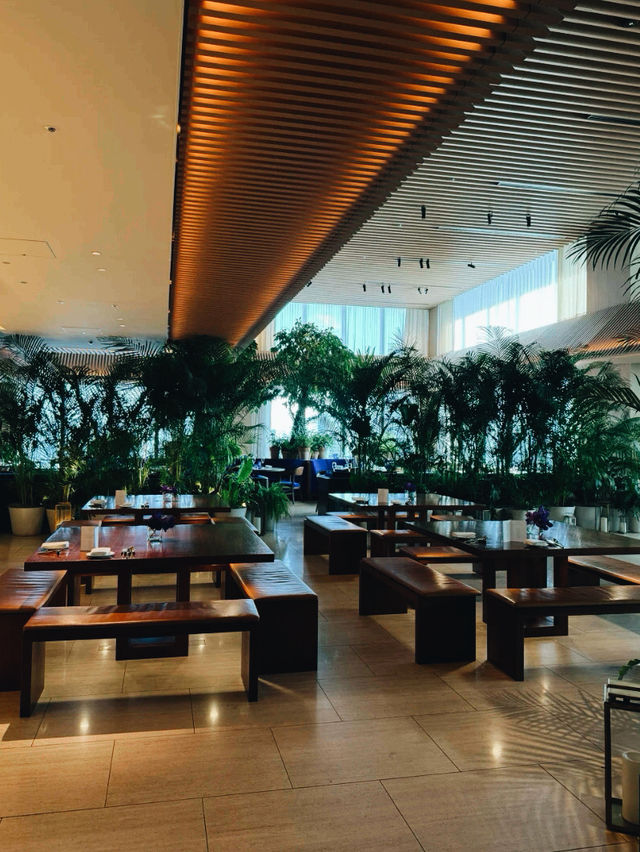 東京絕景咖啡廳！虎之門艾迪遜Terrace Garden隱世綠洲體驗】**  