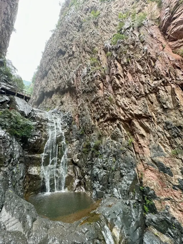 Legs Weak Warning! | Ultimate Guide to Shentan Grand Canyon