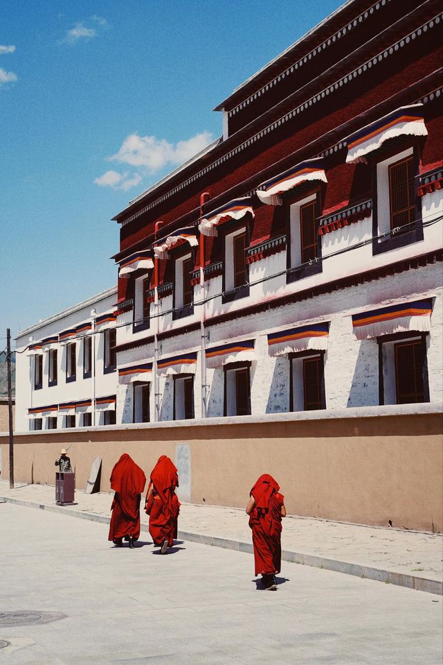 暑期旅遊｜甘南路線推薦+攻略