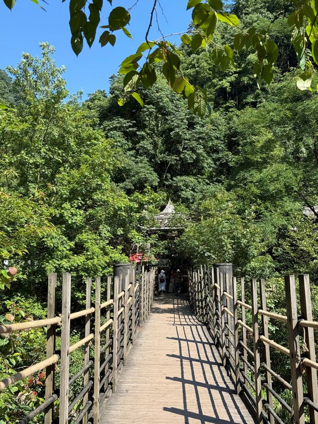 夏日消暑推介！青城後山玩水勝地週末快啲去打卡！