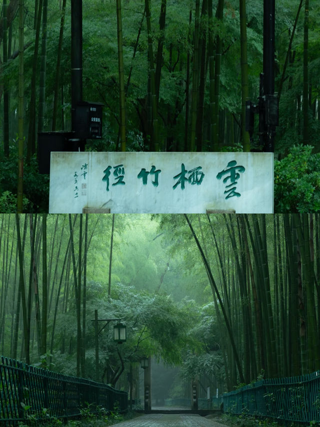 漫步杭州竹徑