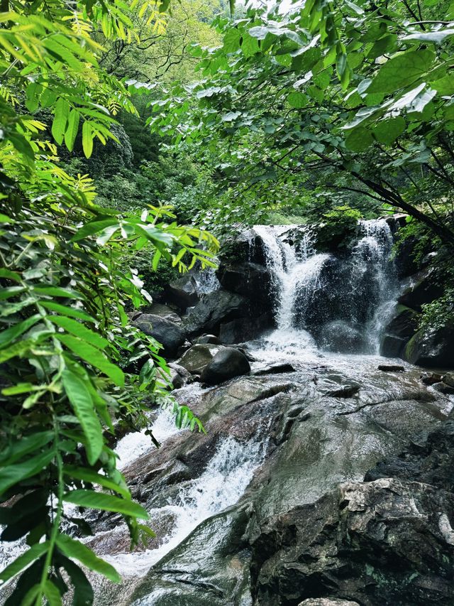 踏入鹿亭中村，恍如走進一幅徐徐展開嘅山水長卷。