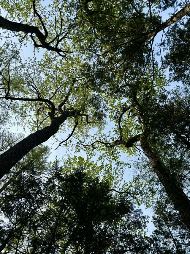長白山兩日遊全攻略