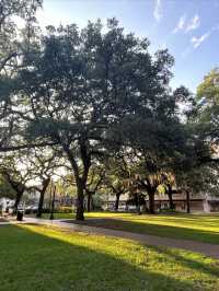 美國南方小鎮薩凡納 - 《阿甘正傳》取景地