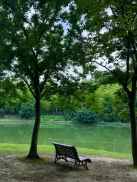 上海最好的公園都是免費的（合集附位置）