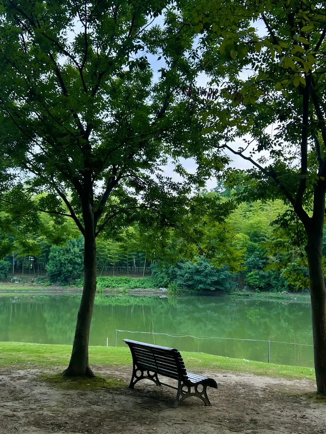 上海最好的公園都是免費的（合集附位置）