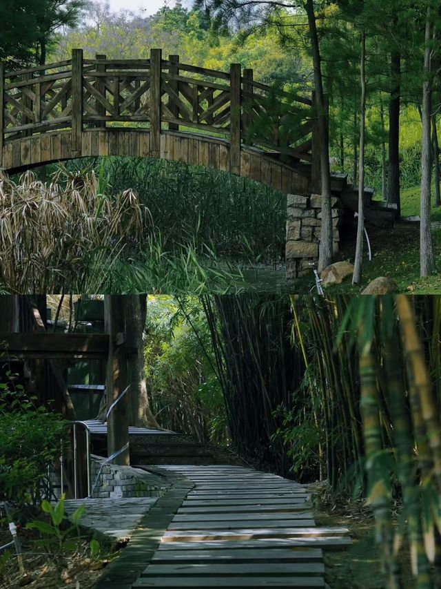 廈門絕美寶藏地！園博苑一整天都逛唔晒~