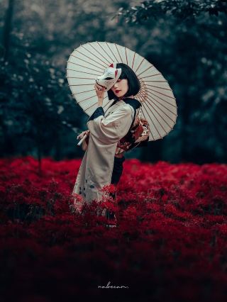 Ayakashi · Dancing with the Red Spider Lilies｜Complete Guide to Viewing Flowers at Kinchakuda, Saitama