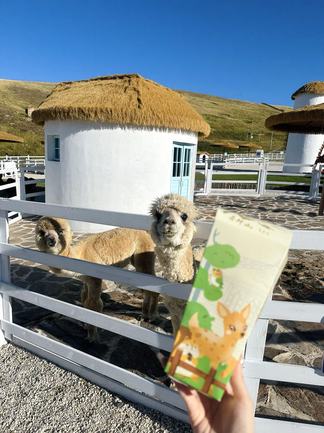 包頭春坤山版霍比特小鎮別太美