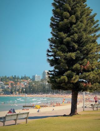 Sydney Beach Stroll: A Symphony of Sunshine, Fine Sand, and Waves