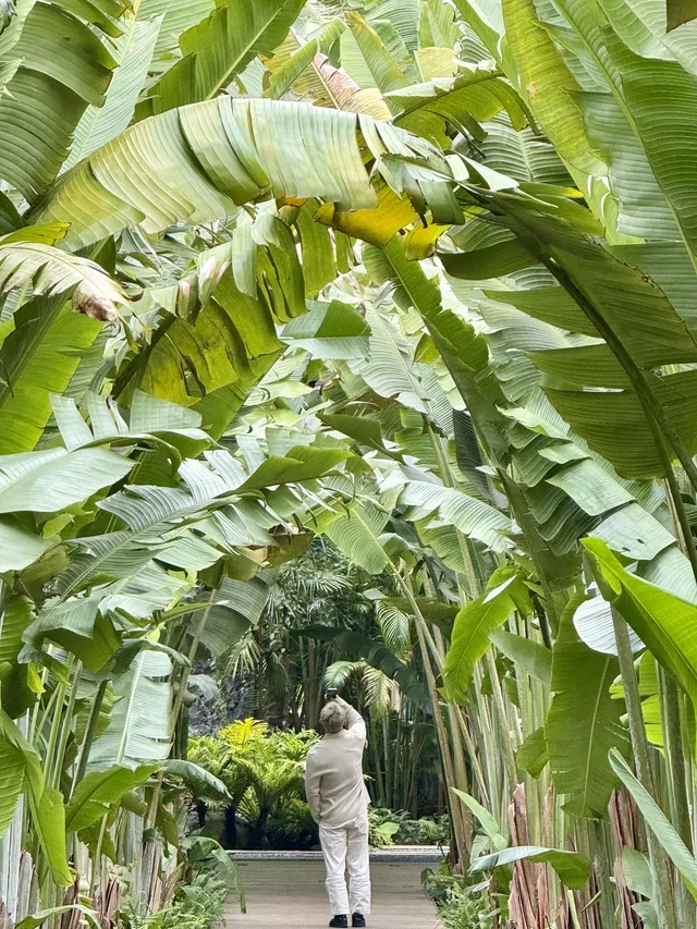三月來崇左｜住進山水畫的正確姿勢