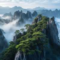 歸來不看山的地方一一黃山