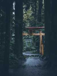 青森縣必打卡合集未來藝術×百年溫泉×震撼祭典