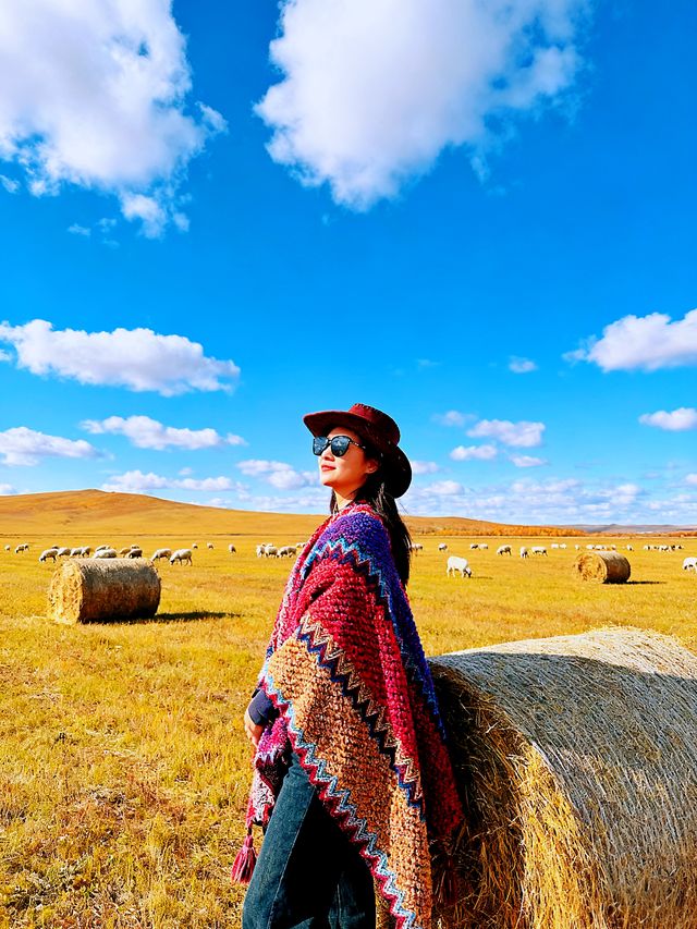 金秋北疆旅行攻略：呼倫貝爾+阿爾山賞秋全指南