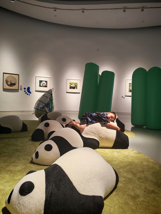 長沙新展誰能拒絕可可愛愛大熊貓 長沙新展誰能拒絕可可愛愛大熊貓