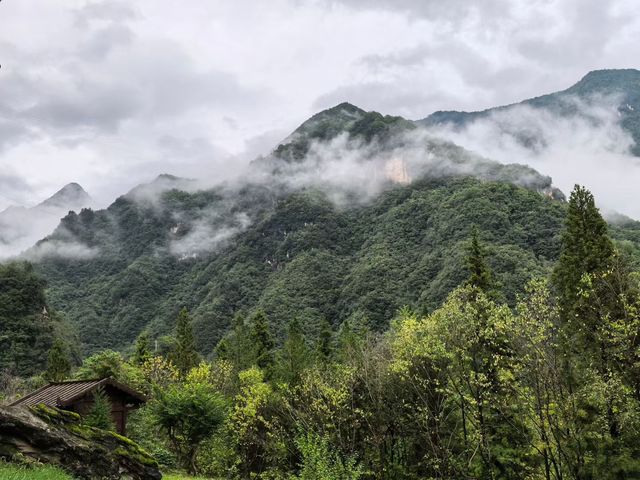 神農架雲海仙境指南