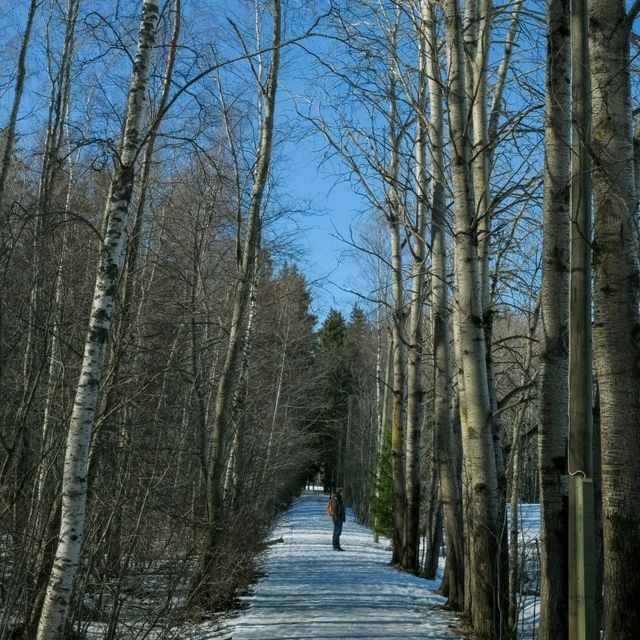 🎿 Cross-Country Skiing in Helsinki – Gliding Through a Winter Dream