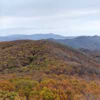 秋山詩意漫步行一一萬景山（樺川）國家森林公園