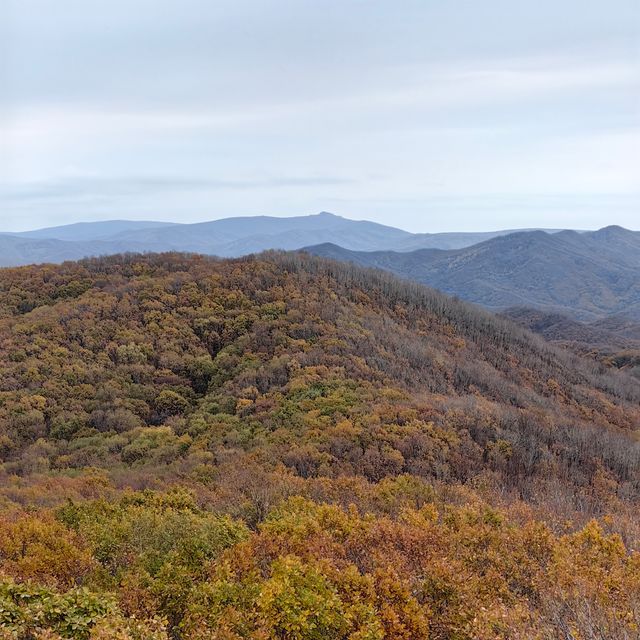 秋山詩意漫步行一一萬景山（樺川）國家森林公園