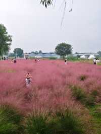 南京江心洲遛娃|真的已經到了next level