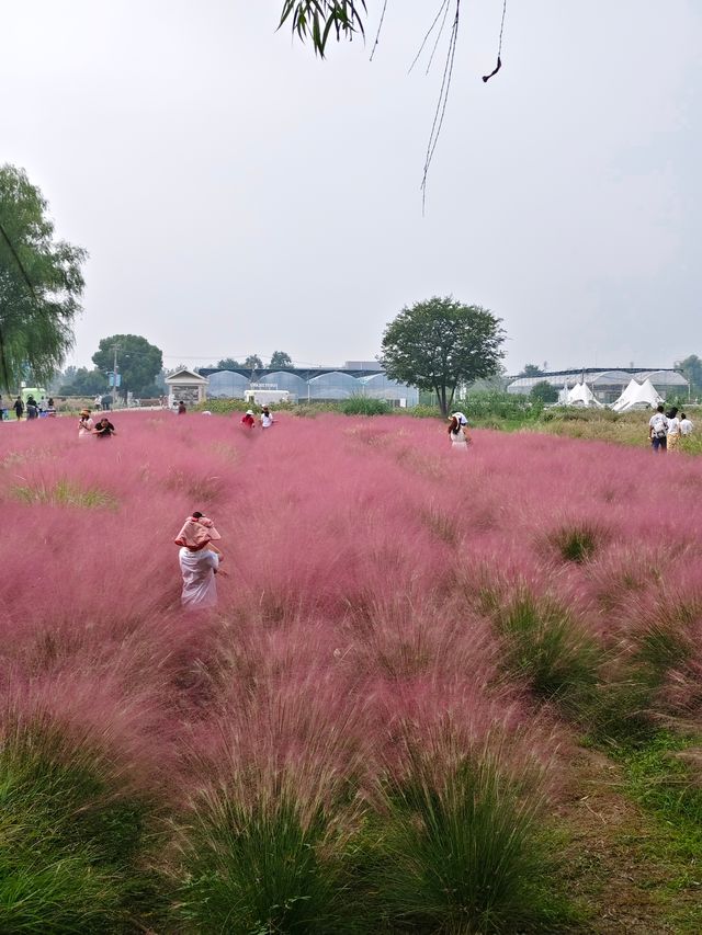 南京江心洲遛娃|真的已經到了next level 南京江心洲遛娃|真的已經到了next level