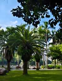 深圳荔枝公園必打卡指南