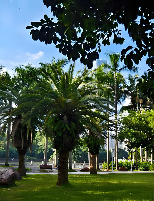 深圳荔枝公園必打卡指南