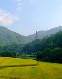 心心念念的國清寺！