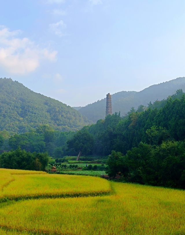 心心念念的國清寺！