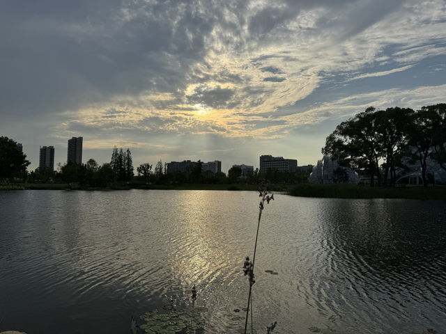 上海日落打卡天花板